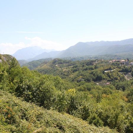 Apartmani Vesna Celina Εξωτερικό φωτογραφία